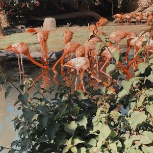 Meet your Posher, Gemma